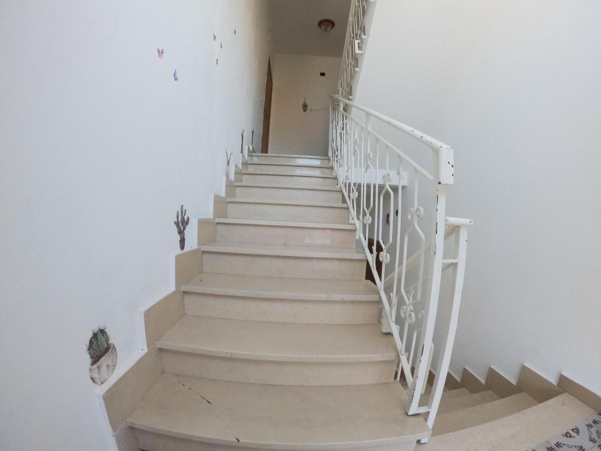 Cactus House Apartment Olbia Exterior photo